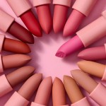 Beauty Creations Tease Me Soft Matte Lipstick