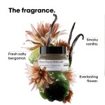 LOREAL ABSOLUT REPAIR MOLECULAR MASK 250ML