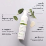 Milk Shake Energizing Blend Conditioner 300ml | Cabello Fino y Quebradizo